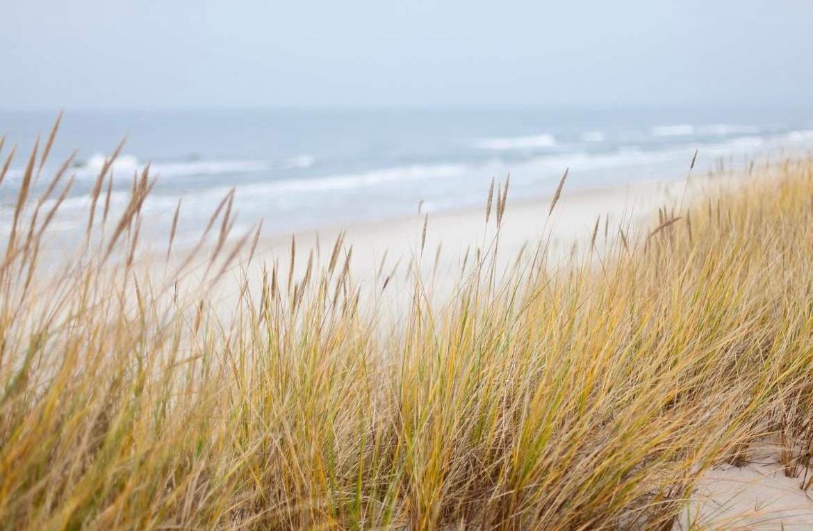 Oase An Der Ostsee Mit 2 Schlafzimmern Хайлигенхафен Экстерьер фото